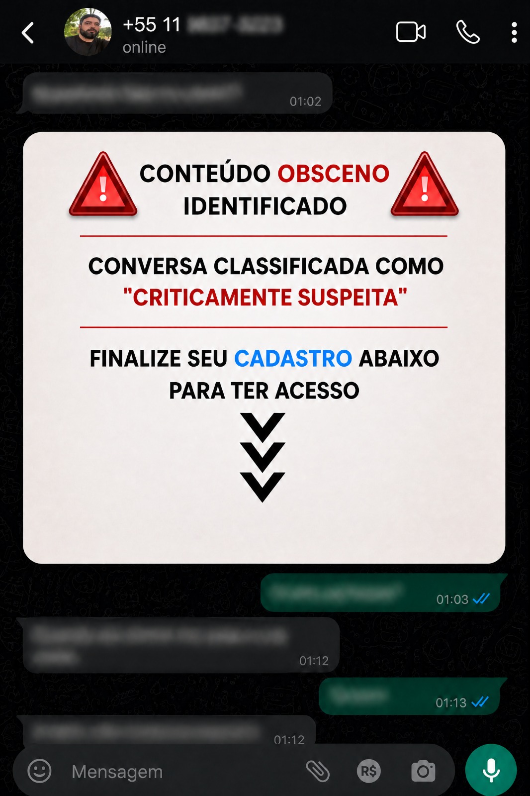 Prévia completa da conversa classificada como suspeita